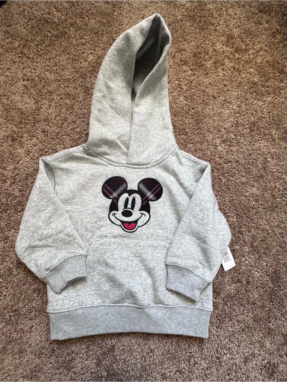 Gap Grey Mickey Mouse Hooded Sweatshirt Flannel Fall 2T Pumpkin Patch Disney